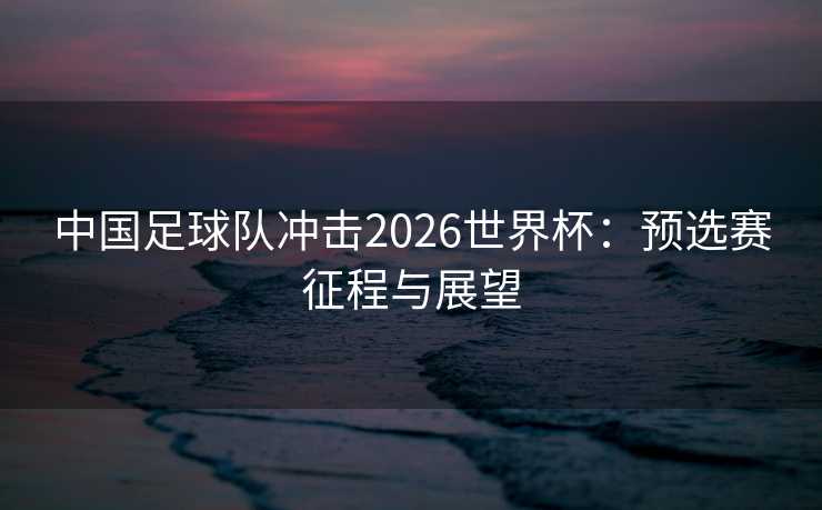 中国足球队冲击2026世界杯：预选赛征程与展望